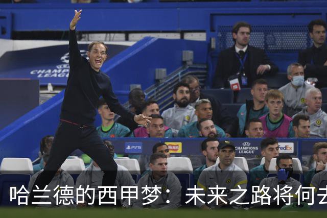哈兰德的西甲梦：未来之路将何去何从？