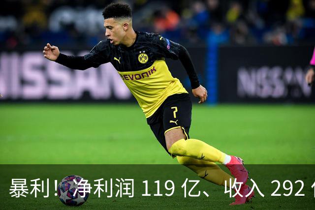 暴利！净利润 119 亿、收入 292 亿