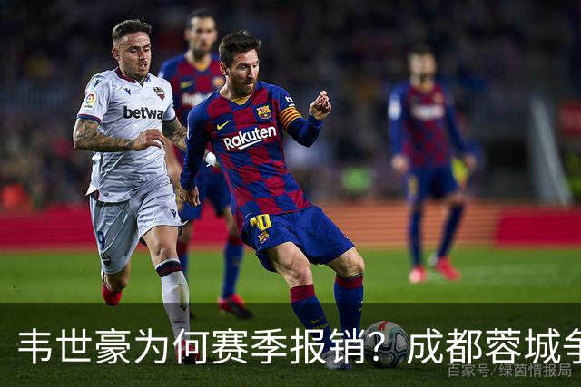 韦世豪为何赛季报销？成都蓉城争冠关键期，折损进攻核心！11月8日｜中超第30轮揭晓悬念